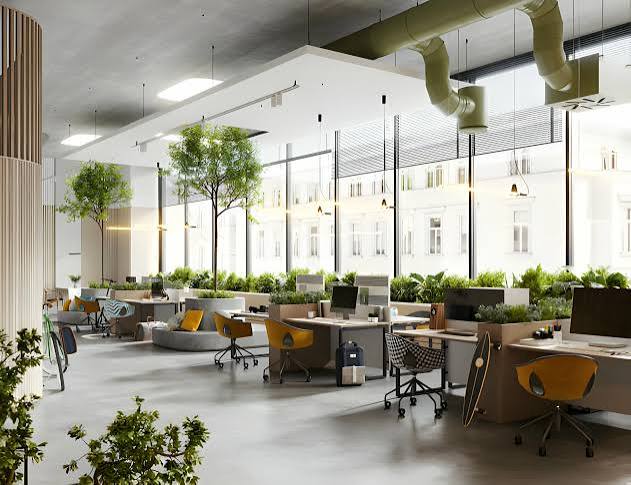 Open-plan office fit-out with biophilic design